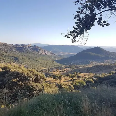 Un Paraiso En *