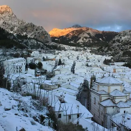 Un Paraiso En *
